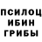 Галлюциногенные грибы MAGIC MUSHROOMS M. Suchkov