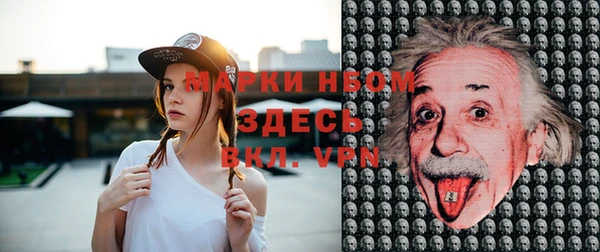 мет Алексин